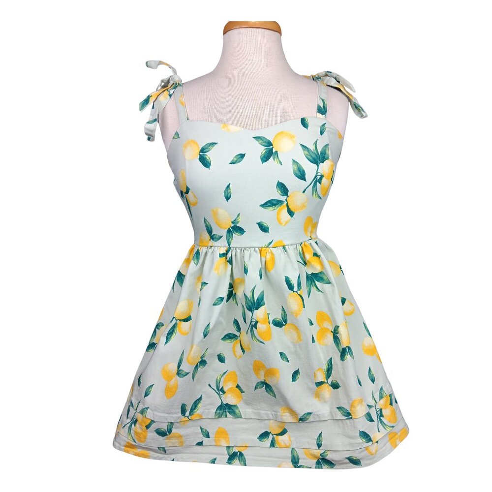 Francesca’s Leslee Lemon Print  Blue Rain Mini Dress SZ S